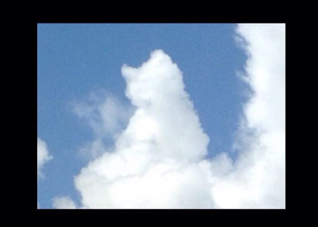 Look at those clouds. Кошка из облаков. Человек и кошка из облаков рядом. C.A.T.S облако в 2023. Облака фит.