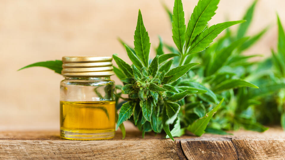 Cbd,Oil,Hemp,Products