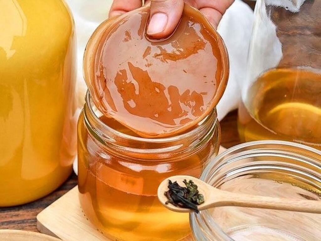 Vyzerá ako slizká huba. Nápoj, ktorý kombucha vytvára, má však pre človeka mnoho prospešných vlastností.