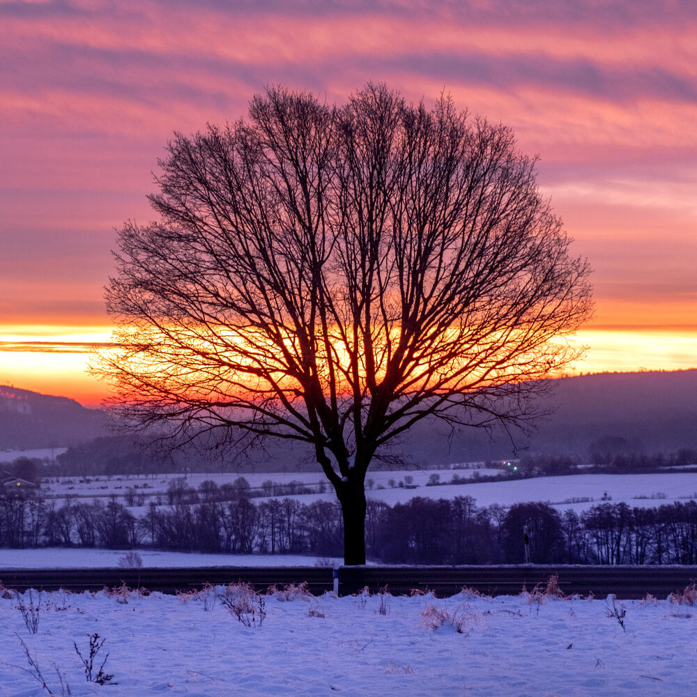 EBE 1 Frankfurt nad Mohanom - Na snímke strom na poli a ranné zore v pozadí pred východom slnka v regióne Taunus neďaleko Frankfurtu nad Mohanom v Nemecku 21. januára 2024. FOTO TASR/AP
A tree stands on a field as the sky reddens before sunrise in the Taunus region near Frankfurt, Germany, Sunday, Jan. 21, 2024. (AP Photo/Michael Probst)