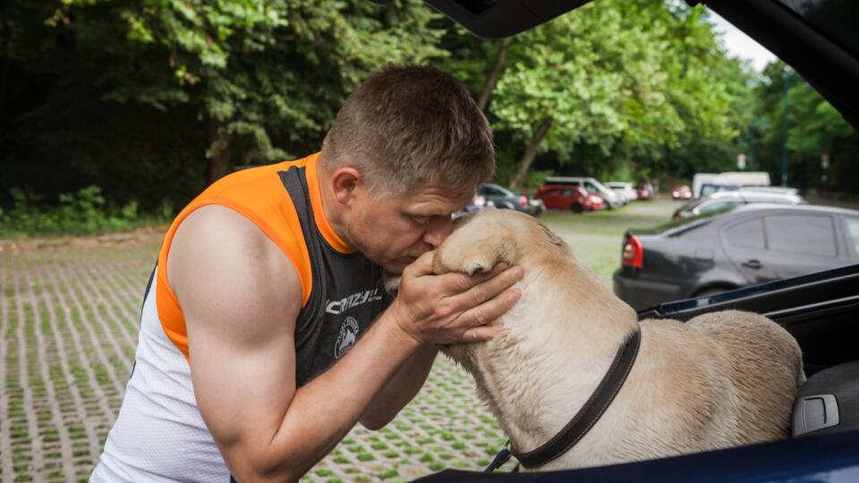 Bývalý predseda vlády Robert Fico má často po boku svojho verného labradora Larryho. Často foto s ním zverejňoval na FB.