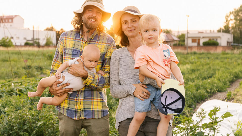 Vegget Microfarm