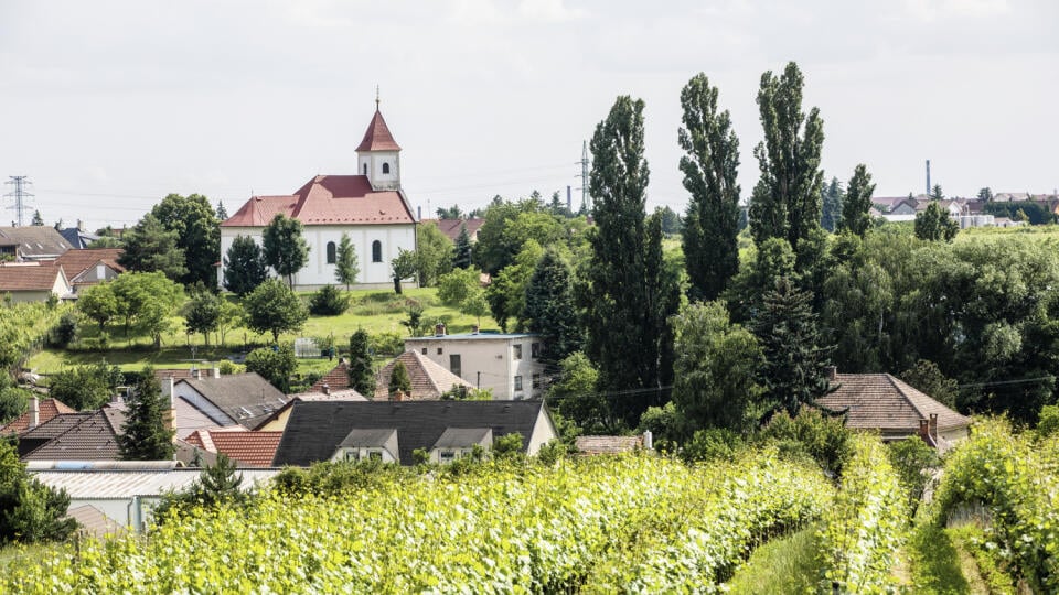 Malokarpatská obec. Vinosady vznikli spojením dedín Veľké a Malé Tŕnie v roku 1964.