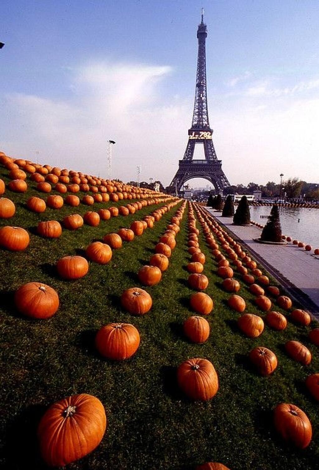 A stretnete aj Halloweenske tekvice.