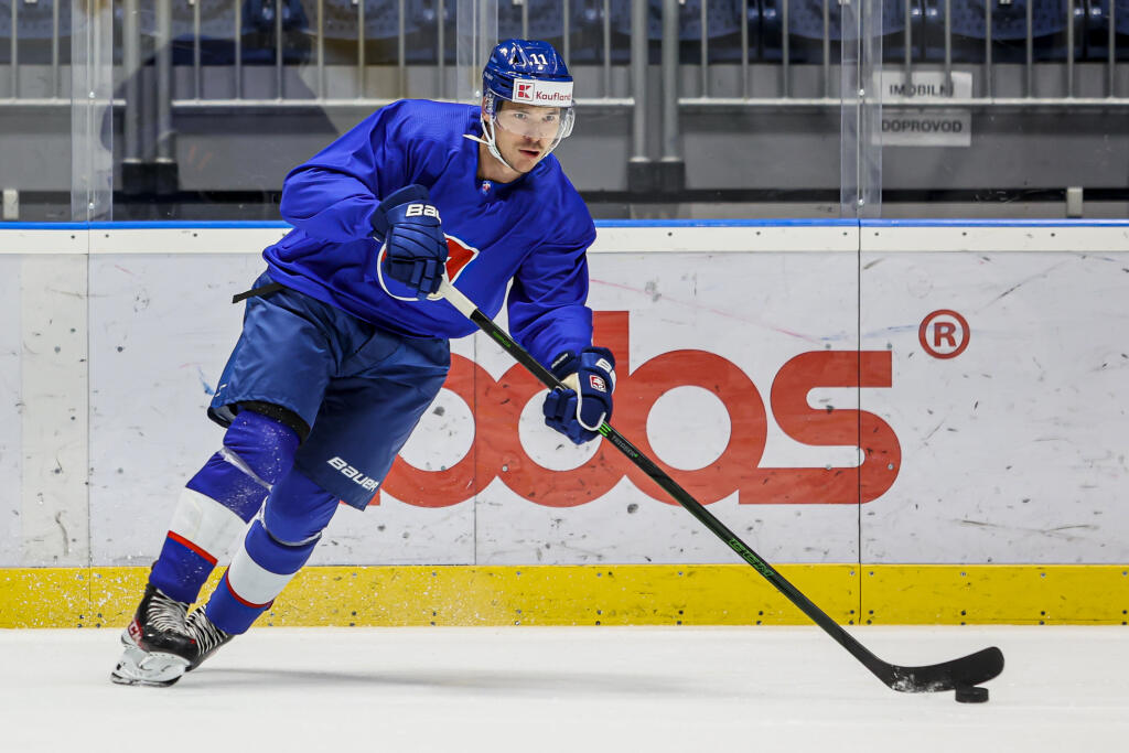 Miloš Kelemen si svojimi výkonmi v českej lige vybojoval zmluvu s Arizonou. Ak sa aj neprebojuje do prvého tímu v NHL, na farme v AHL dostane 70 000 dolárov. Ak by si zahral v profilige, najviac si polepší o 750 000 dolárov.
