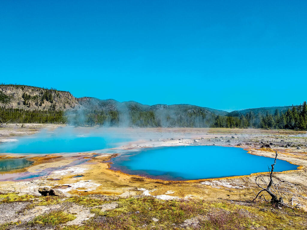 Yellowstone: Čo čakať od krajiny dymiacej zeme, kde by naši lesníci iba žasli