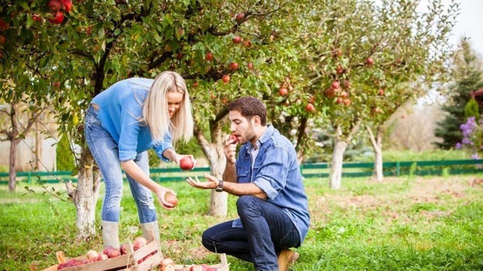 Pozrite si tipy a rady do septembrovej záhrady.