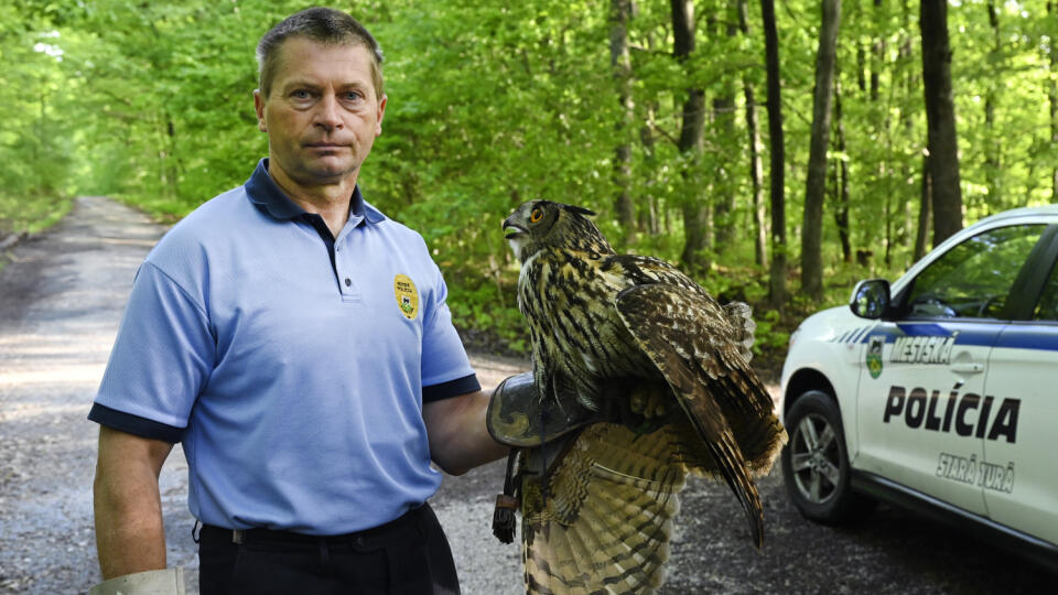 Náčelník mestskej polície v Starej Turej a zároveň sokoliar Ľubomír Málek