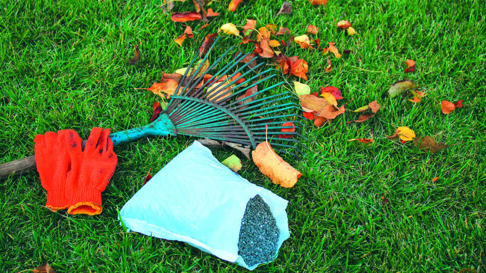 Autumnal,Foliage,,Fan,Rake,,Gloves,And,Pack,Of,Fertilizer,Are