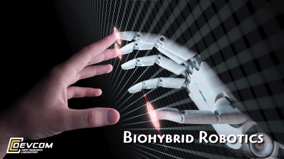 DEVCOM ARL Biohybridní roboti