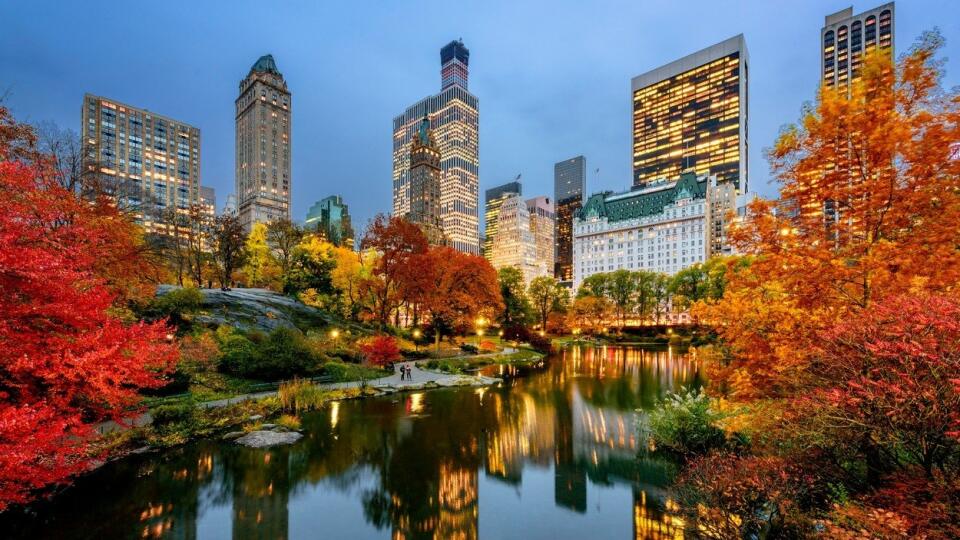 Central Park v New York City. Nachádza sa v ňom viac ako 24-tisíc stromov.