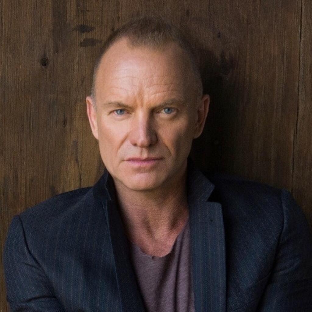 Стинг фото. Гордон стинг. Sting (Gordon Sumner). Стинг лысый.