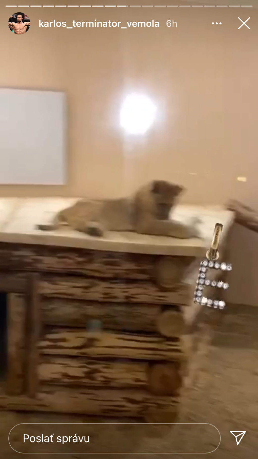 Karlos Vémola vystaval levici Else luxusnú voliéru, ktorú môžu závidieť aj v zoologickej záhrade.