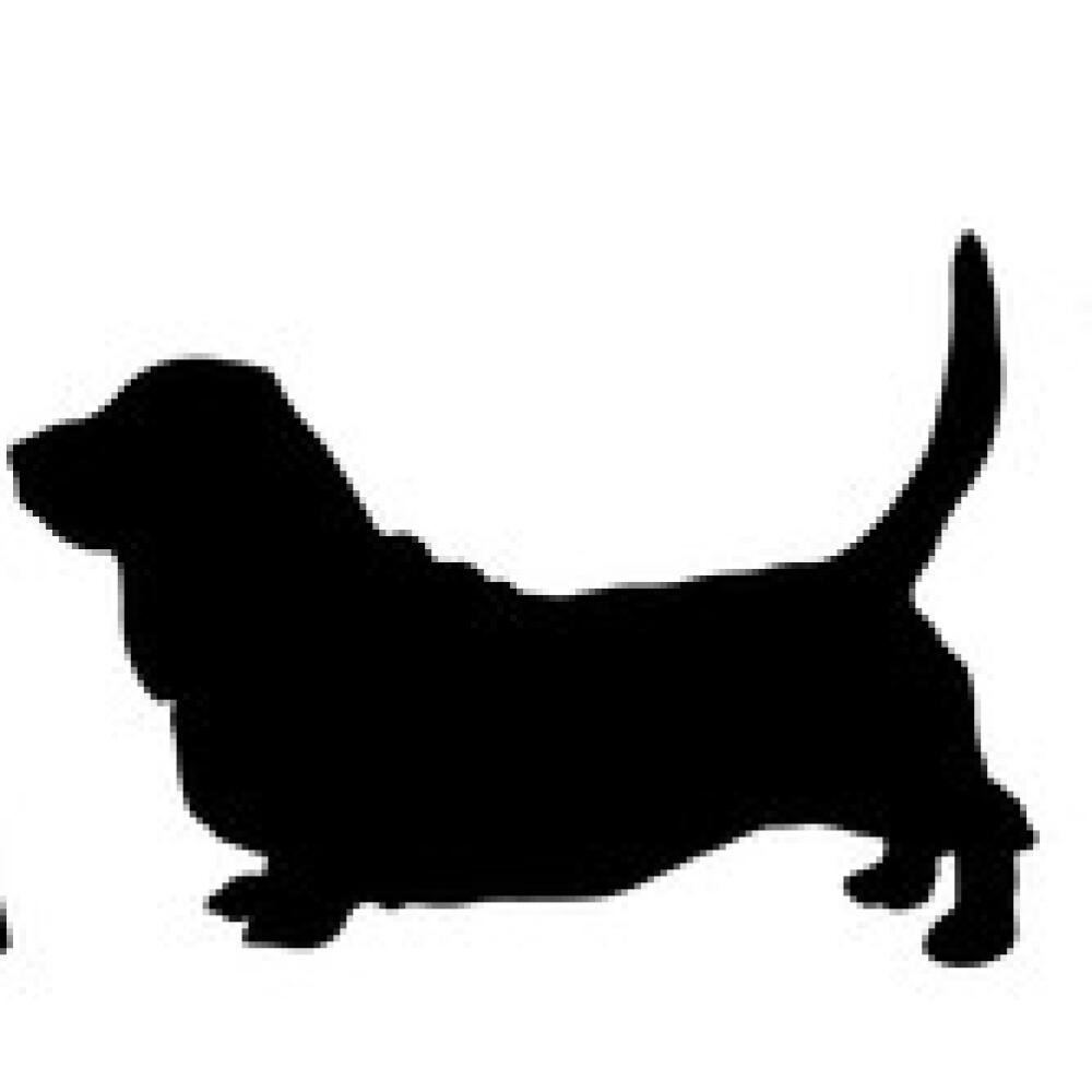 basset