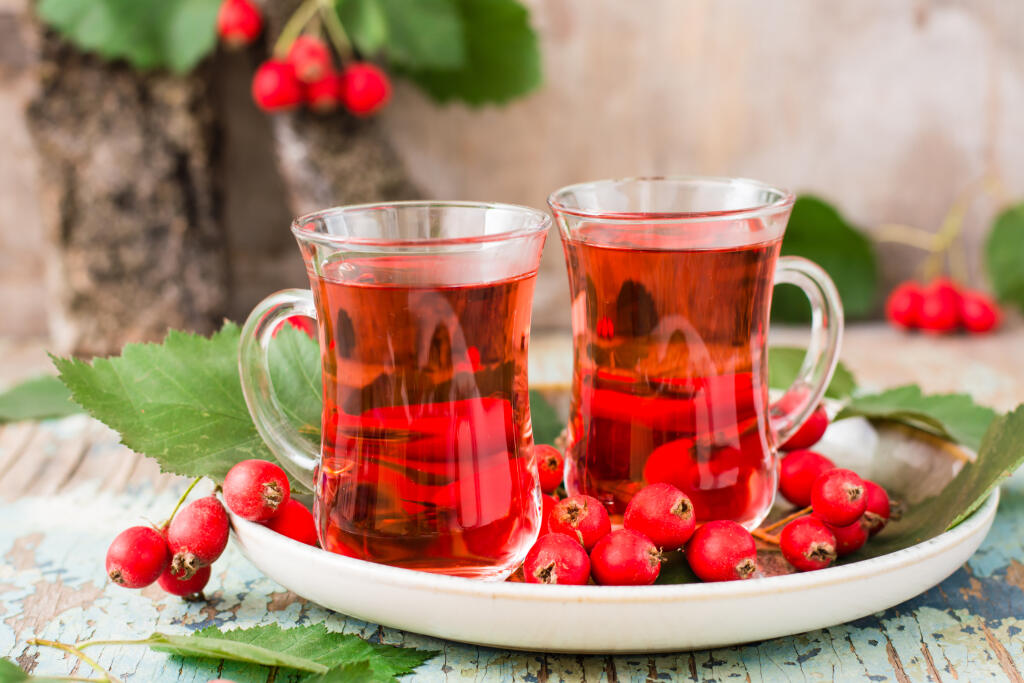 Hloh možno skombinovať aj so šípkami. Je z nich vynikajúci sirup!