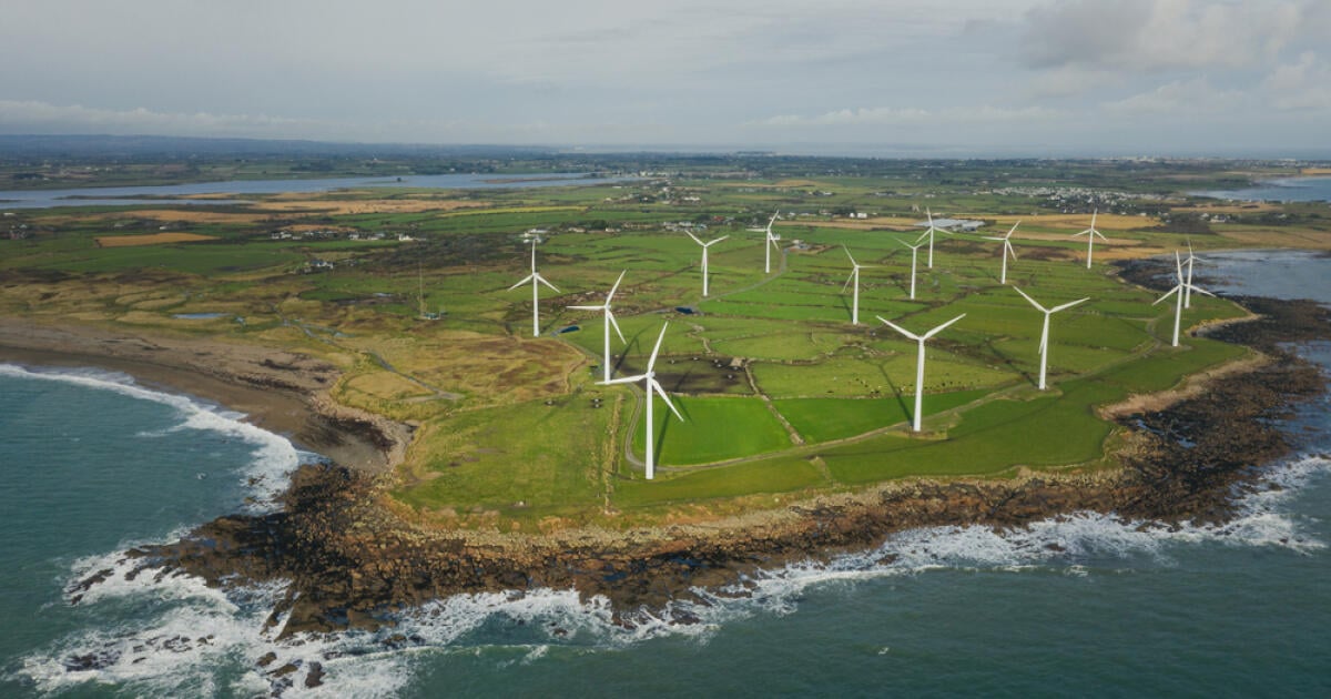 The wind is not enough for climate promises. Turbine War