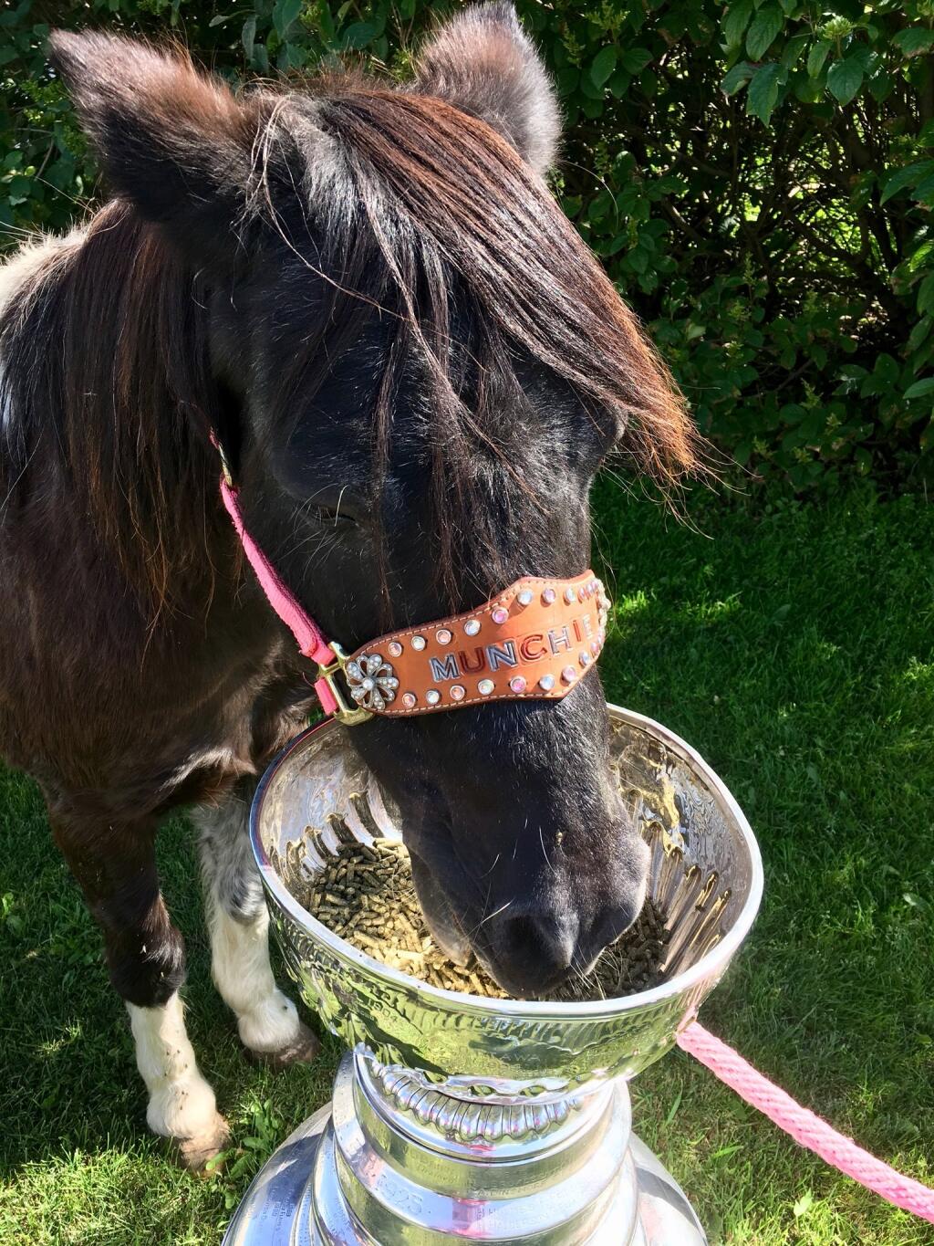 Zo Stanley Cupu nejedia len hokejisti, ale aj zvieratá.