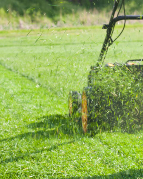 6 tipov, čo s pokosenou trávou: Využite ju na svojom pozemku