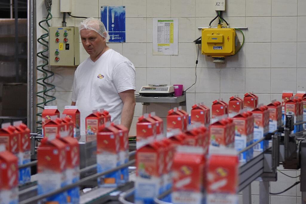 Na snímke zamestnanec kontroluje krabice mlieka na novej plničke mlieka, ktorú spustili do prevádzky v Tatranskej mliekarni v Kežmarku 21. februára 2020.