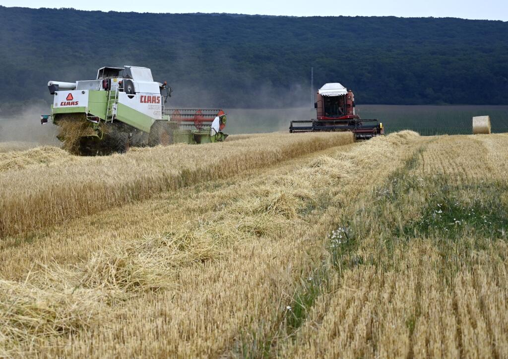 Na snímke žatva ozimného jačmeňa na poli neďaleko obce Luhyňa  v okrese Trebišov 30. júna 2021.