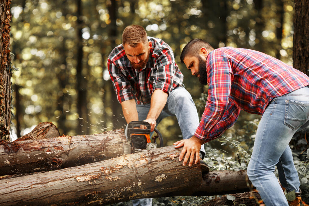 Two,Lumberjacks,Sawing,Wood,Trunk,With,Big,Chainsaw.