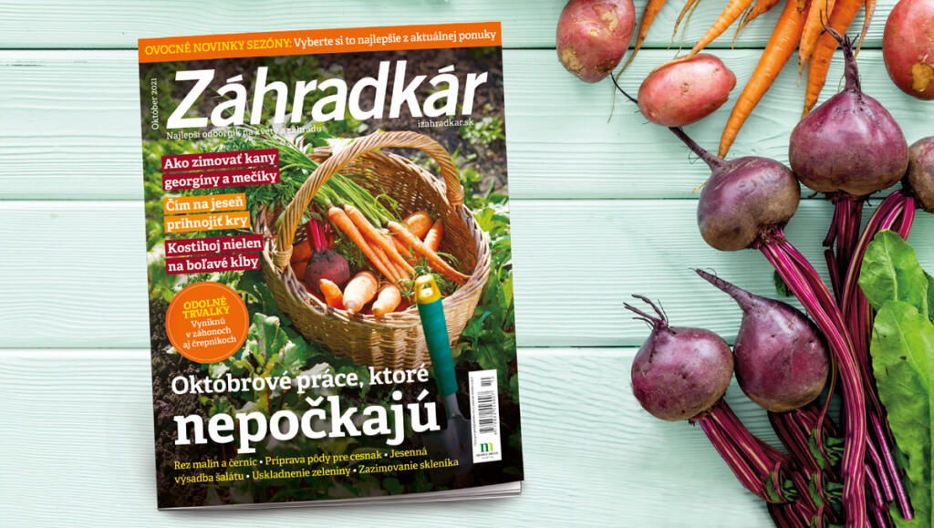 Časopis Záhradkár