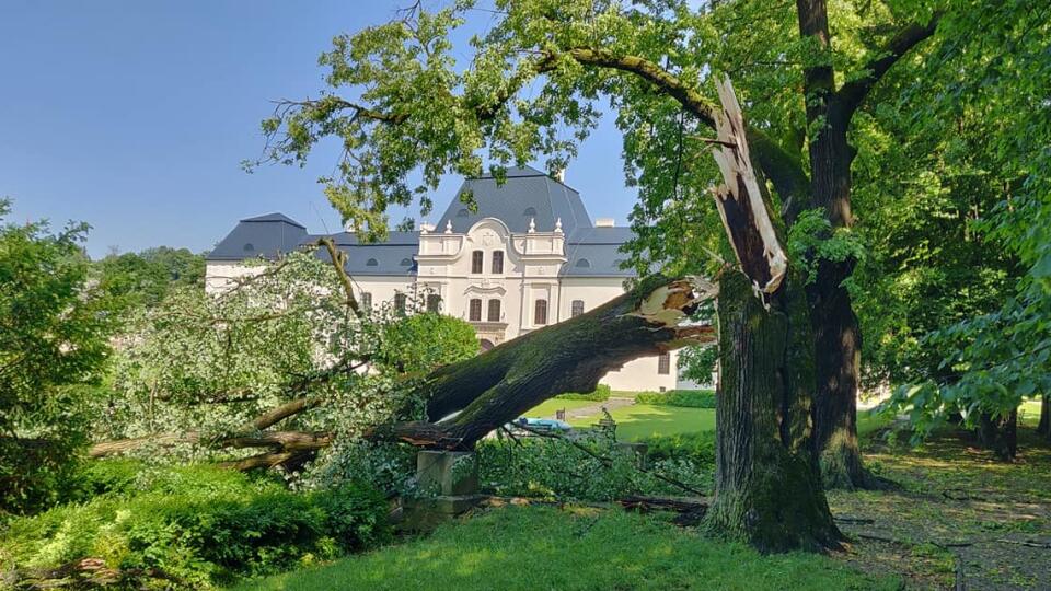 V Humennom vietor váľal stromy.Za obeť padli aj vzácne kusy v kaštieľskom parku.