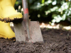 Práce v záhrade podľa LUNÁRNEHO KALENDÁRA: Čo nezmeškať na začiatku marca?