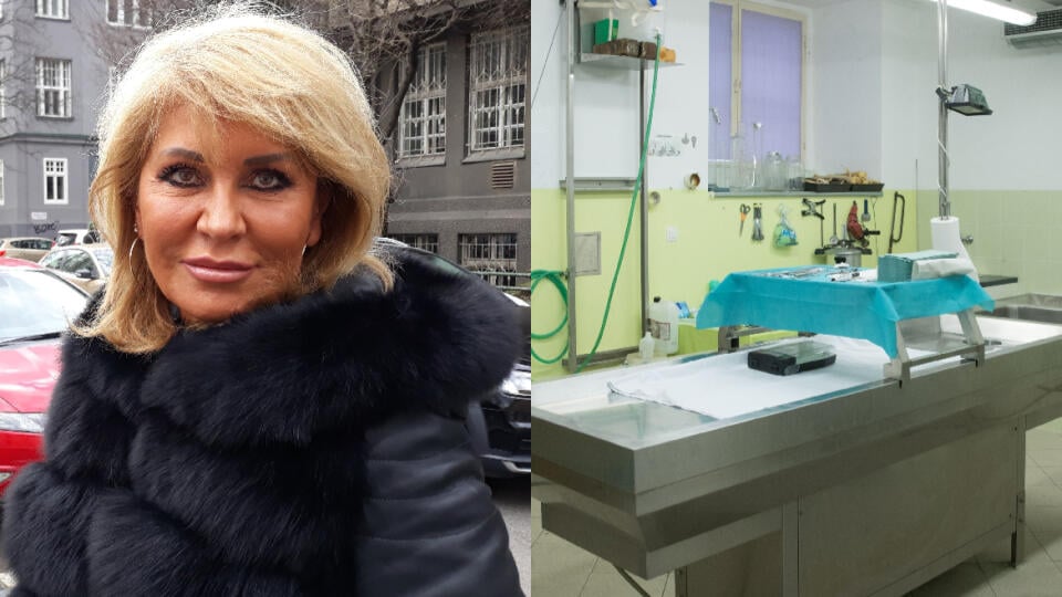 Docentka MUDr. Eliška Kubíková, prednostka Anatomického ústavu LF UK hovorí, že pitevne sú opustené.