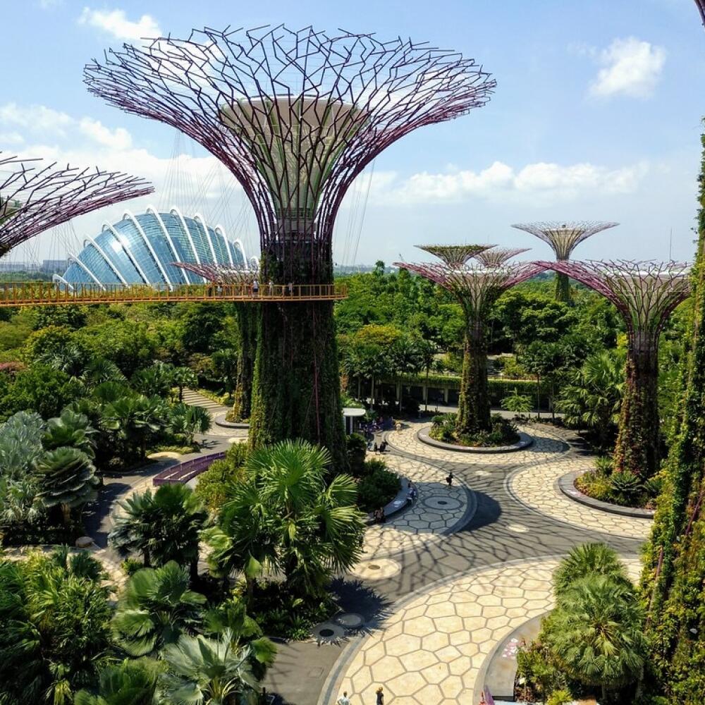 Gardens of the Bay vyzerá ako z futuristického filmu, no v Singapure naozaj existuje.