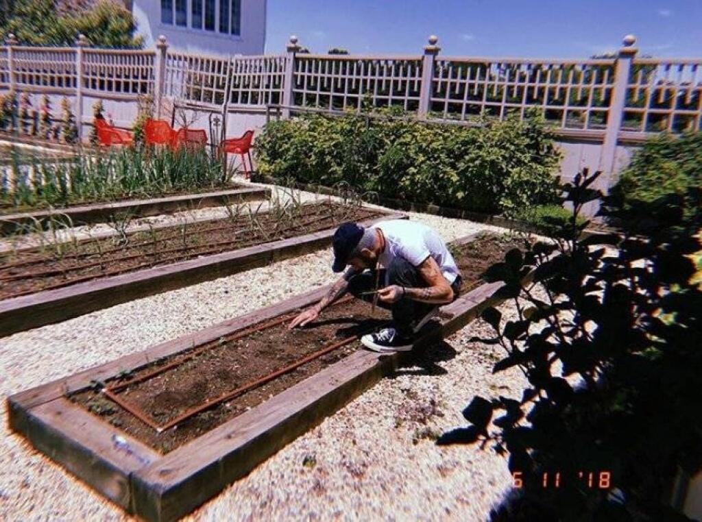 Zayn Malik na farme v Pensylvánii
