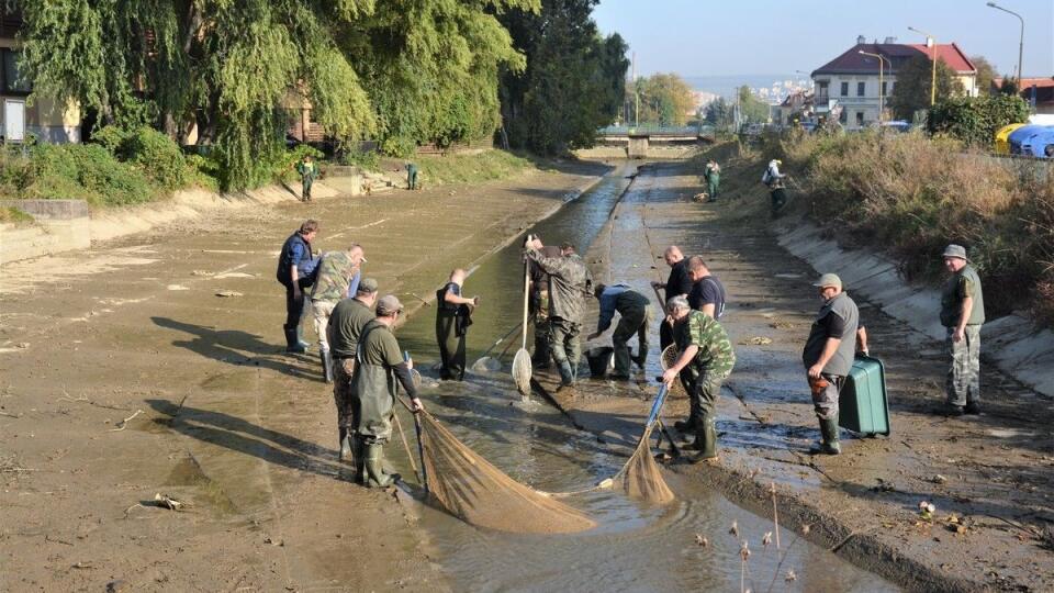 Vylovili 1 700 kg kaprov a 1 000 kg bielych rýb