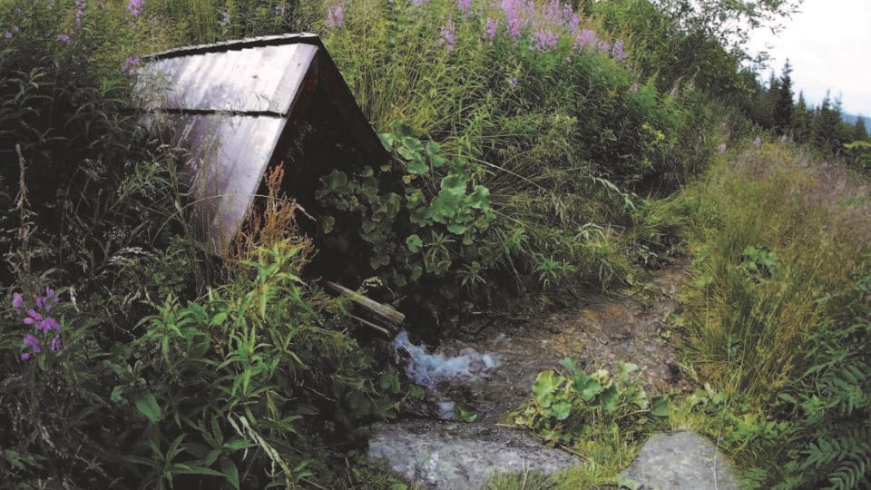 Nízke Tatry - chodník na Kráľovu hoľu