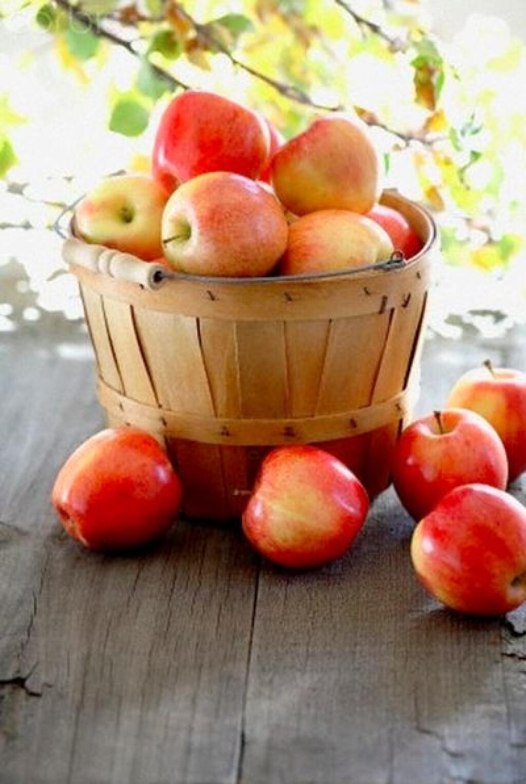 Корзина с яблоками на яблочный спас