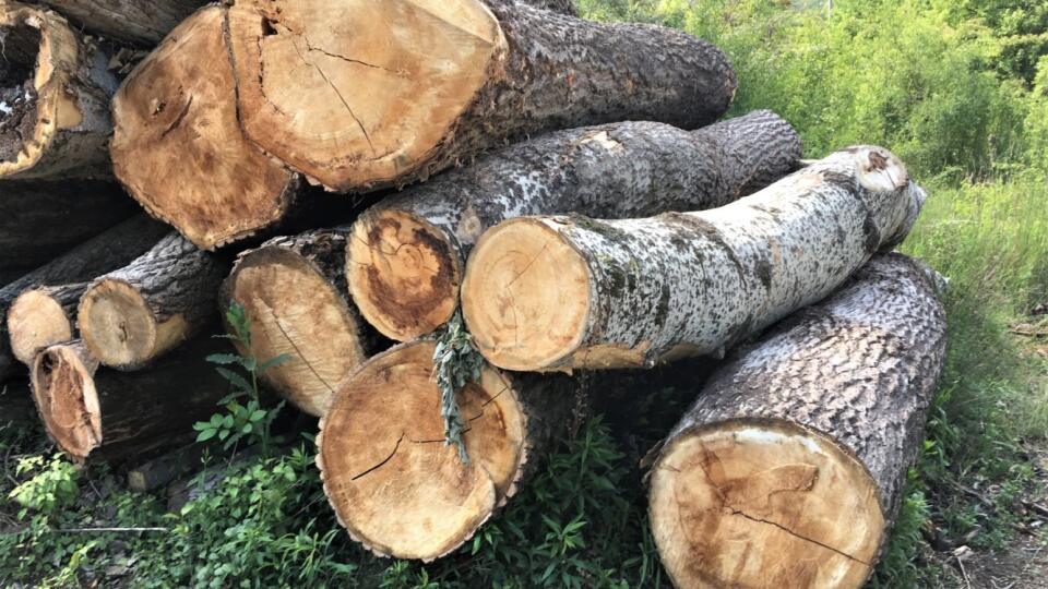 Prírodná rezervácia Ostrovné lúčky