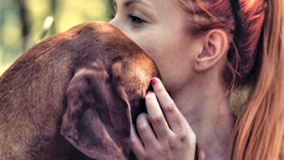 Ilustračná fotografia