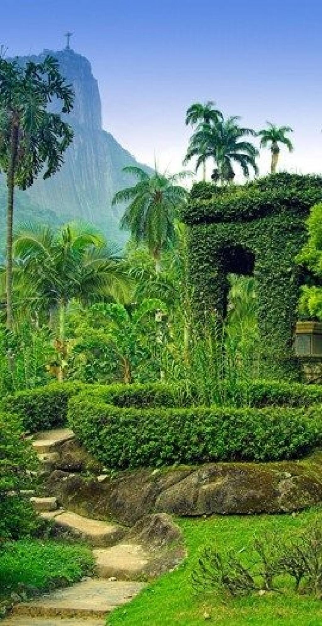 Botanická záhrada v Rio de Janeiro, Brazília