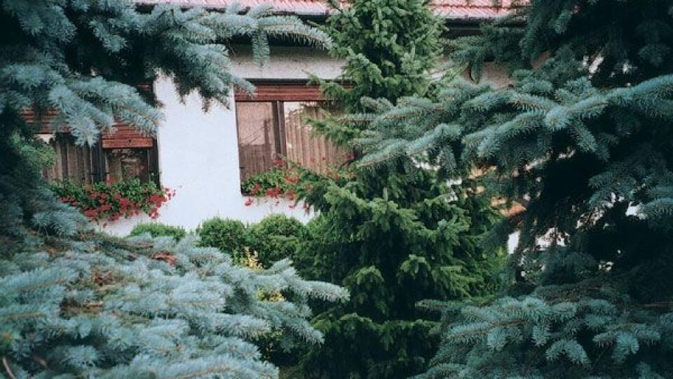 Archív