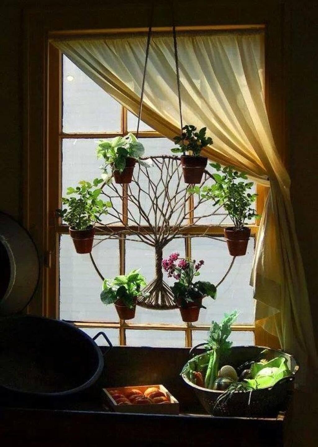 Plant window. Подвесные кашпо на подоконнике. Подоконник с цветами. Декор подоконника. Цветок в горшке на окне.