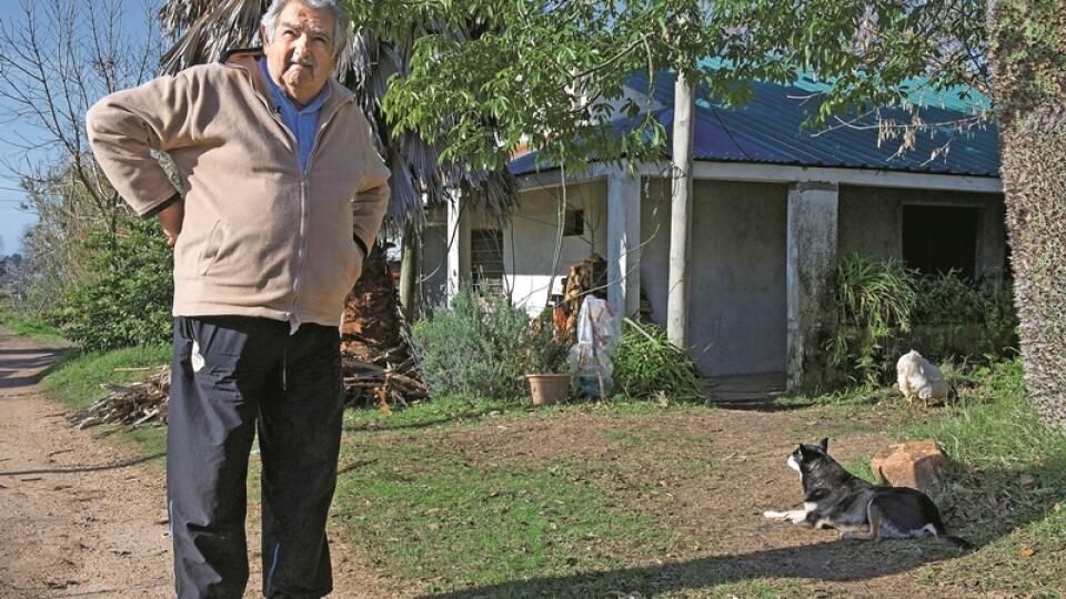 Prezidentská vila: Uruguajský prezident José Mujica žije na farme kúsok od Montevidea. S manželkou senátorkou a trojnohým psom.