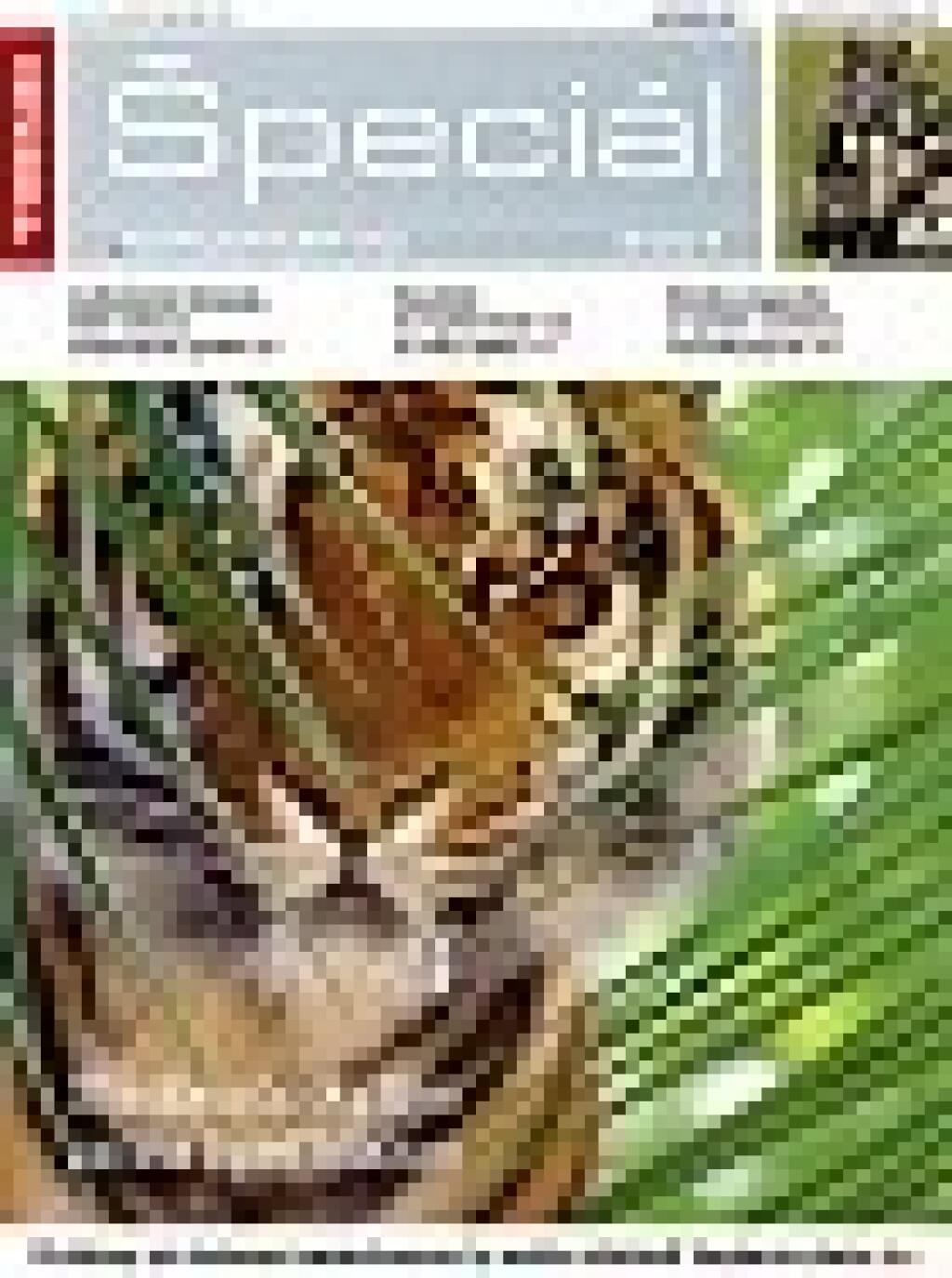 Keď živly prinášajú biznis