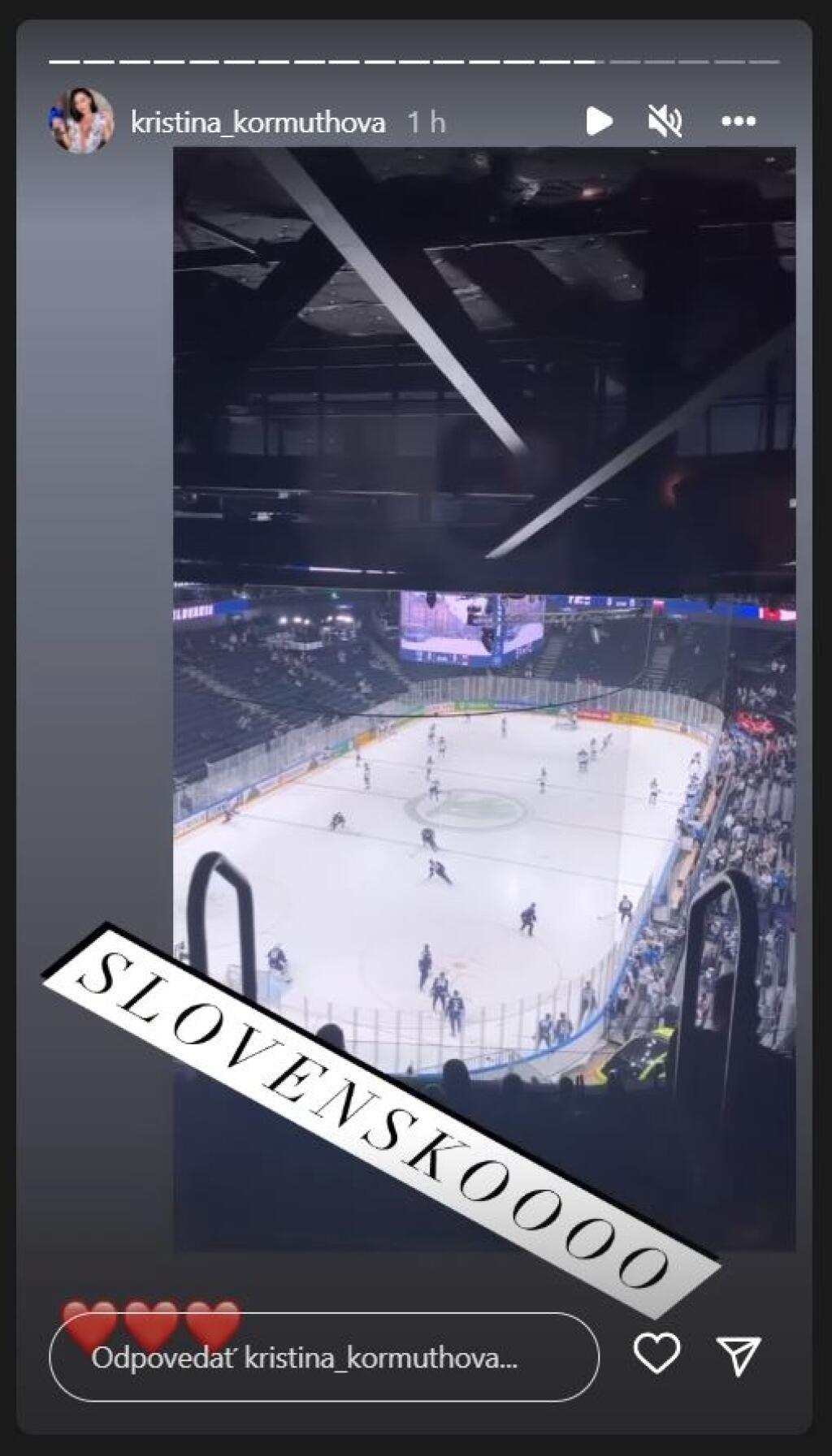 Kormúthová fandila našim hokejistom z VIP-ky štadióna v Tampere, no nebola ticho. Práve naopak, správala sa ako pravá fanúšička.