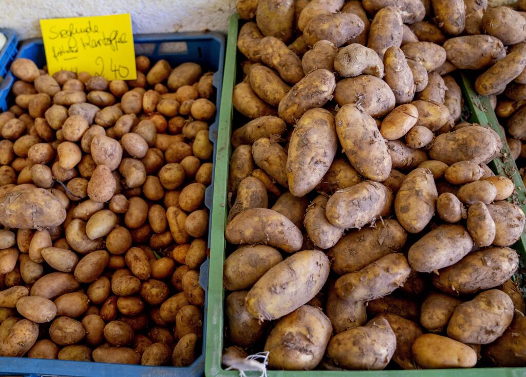 KK22 Frankfurt nad Mohanom - Na snímke zemiaky s cenou sú vystavené pre zákazníkov na trhovisku 14. júna 2022 vo Frankfurte nad Mohanom. FOTO TASR/AP
Potatoes with a price tag wait for customers in the market hall in Frankfurt, Germany, Tuesday, June 14, 2022. (AP Photo/Michael Probst)