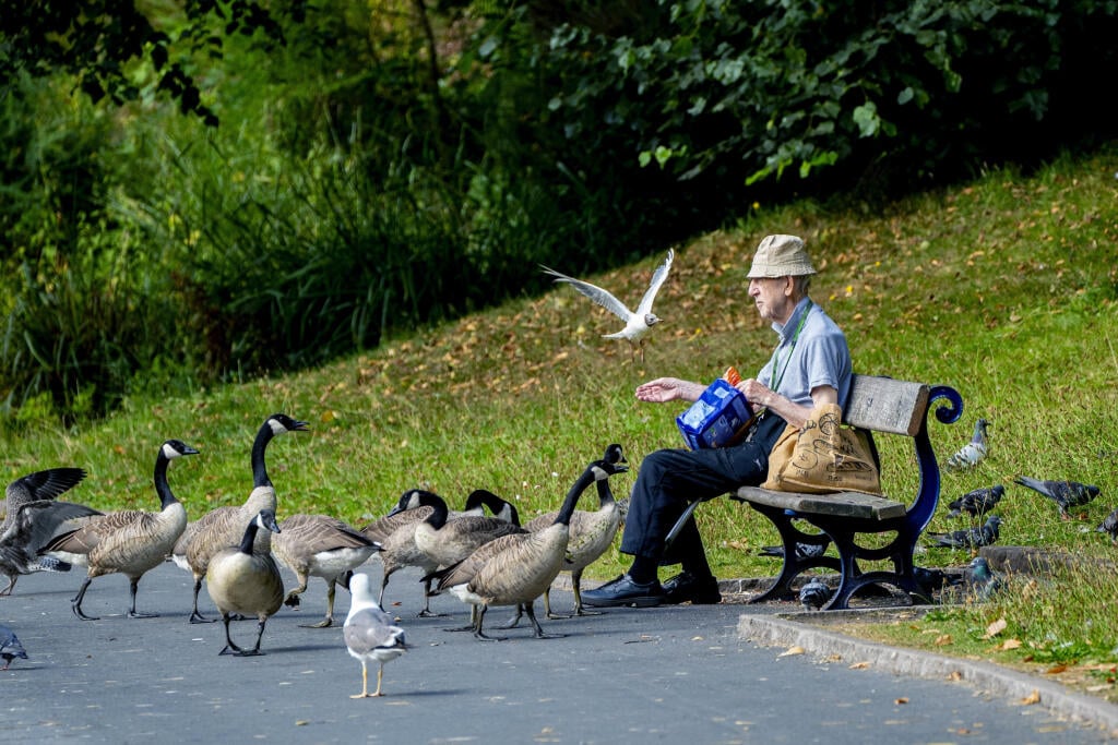EBE 2 Liverpool - Na snímke muž kŕmi  vtáky pri jazere v parku Sefton počas teplého dňa v anglickom Liverpoole v pondelok 26. júla 2021. FOTO TASR/AP


A man feeds the birds by the lake at Sefton Park, as the warm weather there continues, in Liverpool, England,  Monday July 26, 2021. (Peter Byrne/PA via AP)