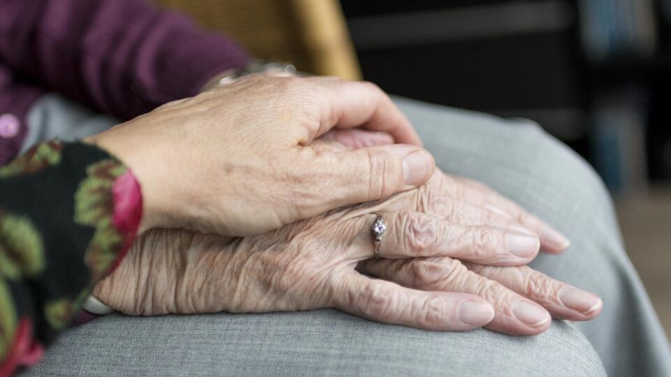 seniori