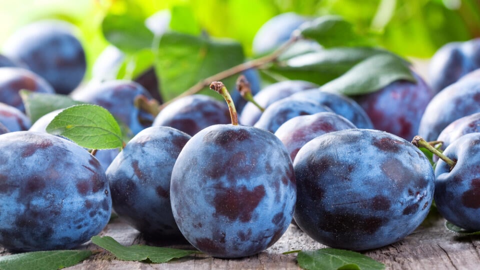 Čerstvé slivky vylepšia aj hladinu cholesterolu v krvi.