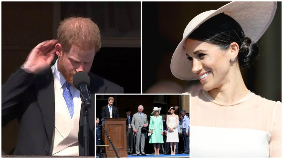 Meghan na prvej debutovej akcii pobavilo, ako sa Harry pokúšal počas prejavu na Charlesovu počesť odohnať otravnú včelu.