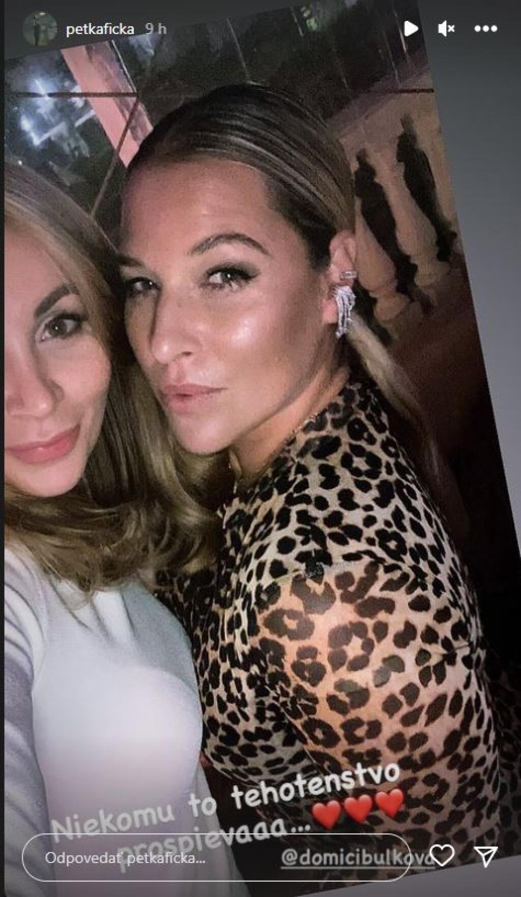 Dara Rolins a Pavel Nedvěd si na oslavu do Talianska zavolali prominentných hostí. Bola tam Dominika Cibulková či herečka Zuzana Kubovčíková Šebová.