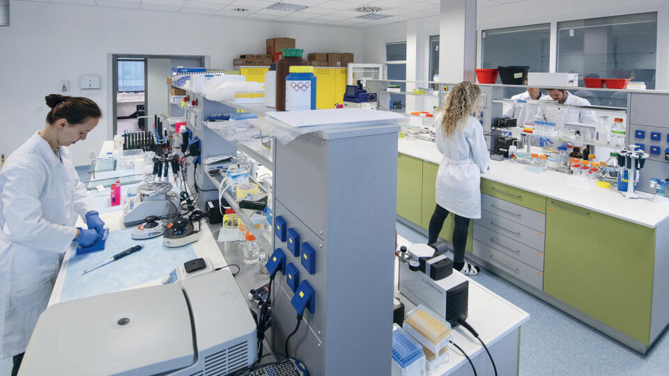 laboratórium molekulárna biológia