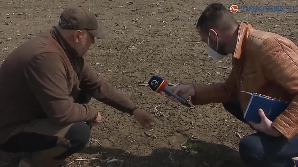 VIDEO Ďalšia medvedica sa priblížila k ľuďom, opatrnosť je namieste!
